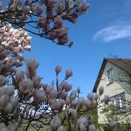 Ferienwohnung Rheinblick شقة